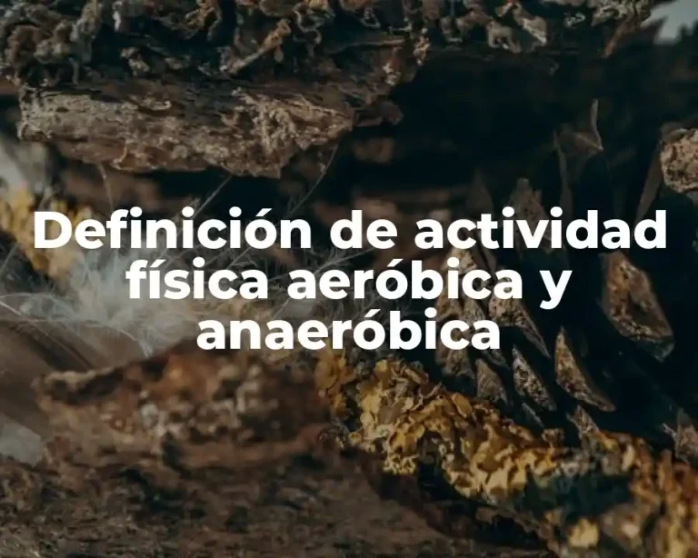 Definición de actividad física aeróbica y anaeróbica