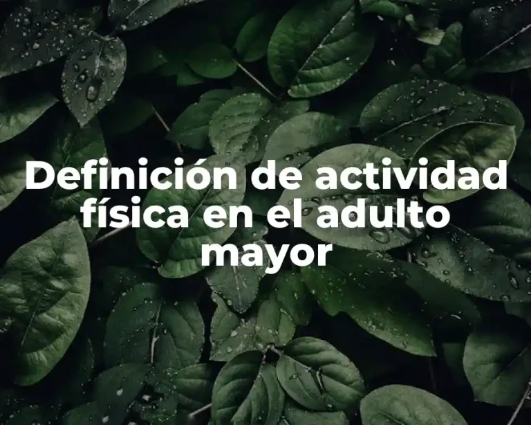 Definición de actividad física en el adulto mayor