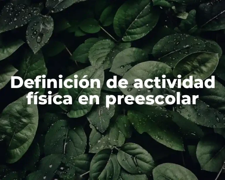Definición de actividad física en preescolar
