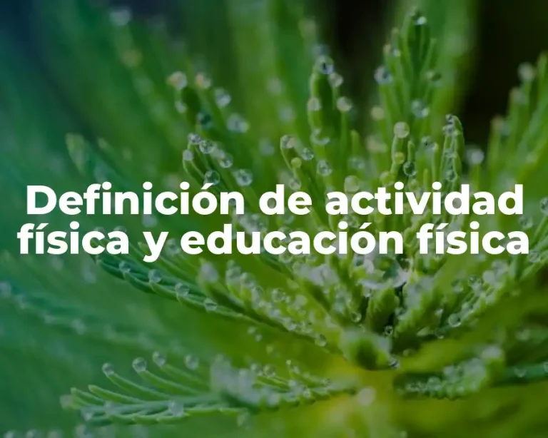 Definición de actividad física y educación física