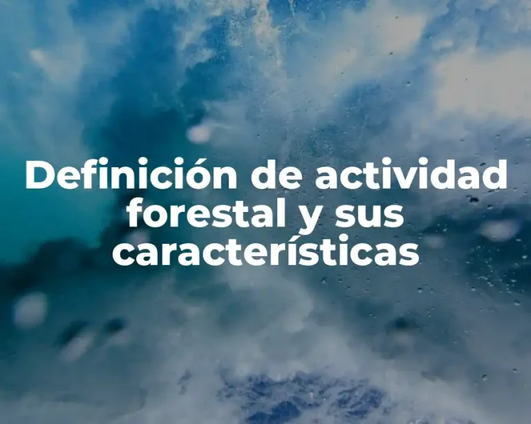 Definición de actividad forestal y sus características