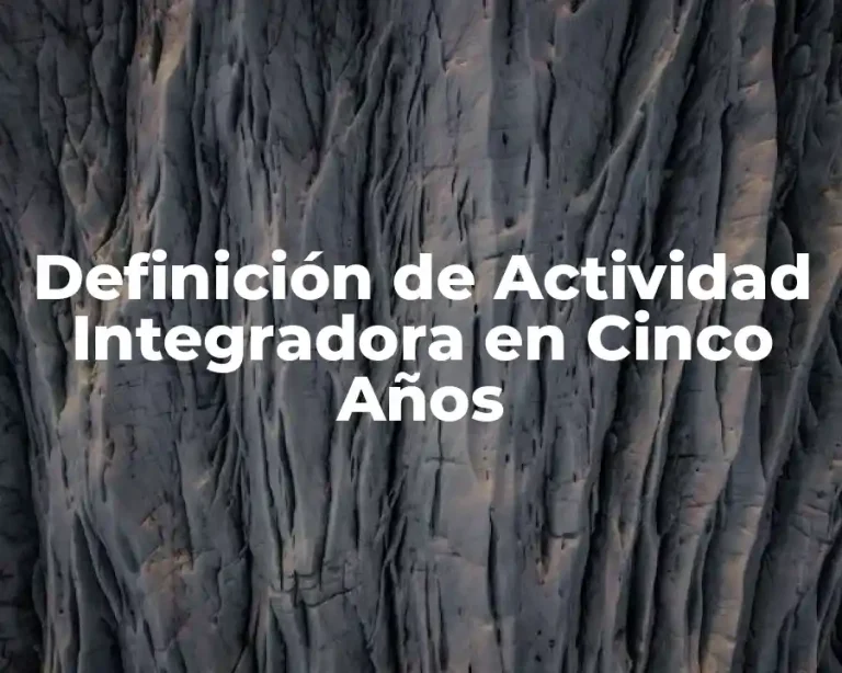 Definición de Actividad Integradora en Cinco Años