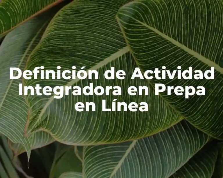 Definición de Actividad Integradora en Prepa en Línea