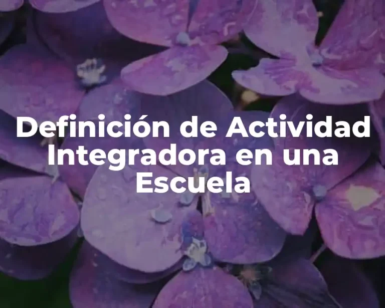 Definición de Actividad Integradora en una Escuela