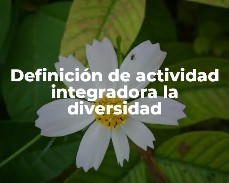 Definición de actividad integradora la diversidad