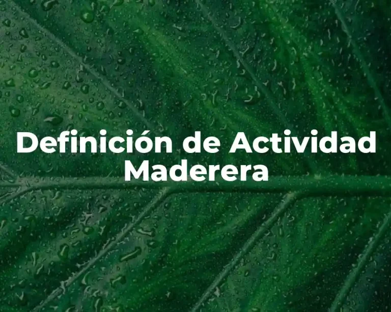 Definición de Actividad Maderera