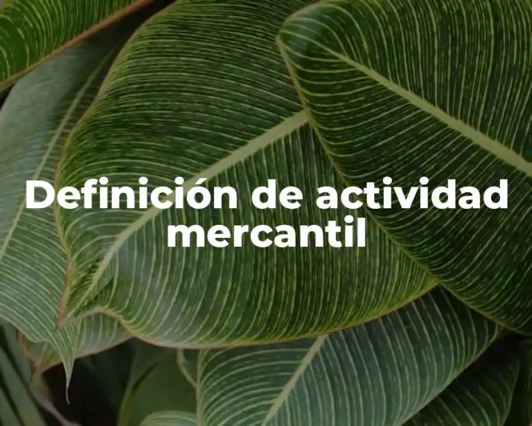 Definición de actividad mercantil