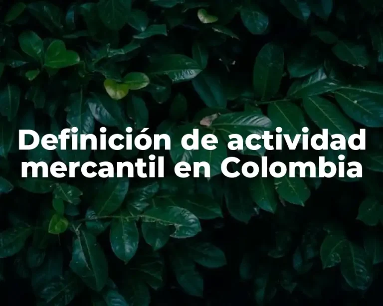 Definición de actividad mercantil en Colombia