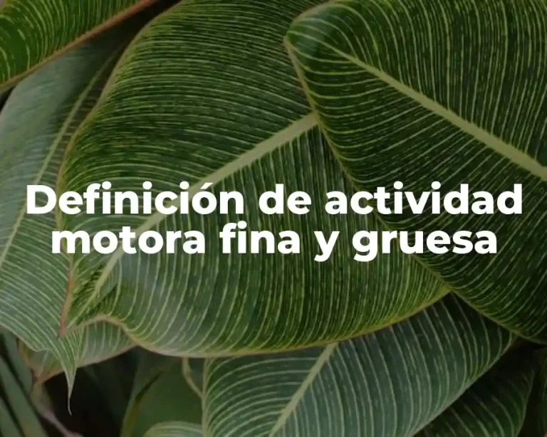 Definición de actividad motora fina y gruesa
