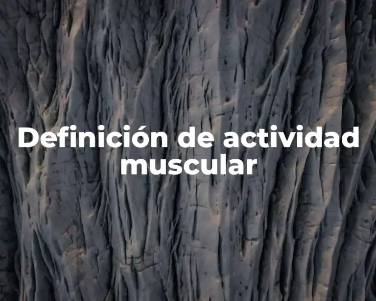 Definición de actividad muscular