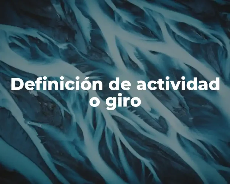 Definición de actividad o giro