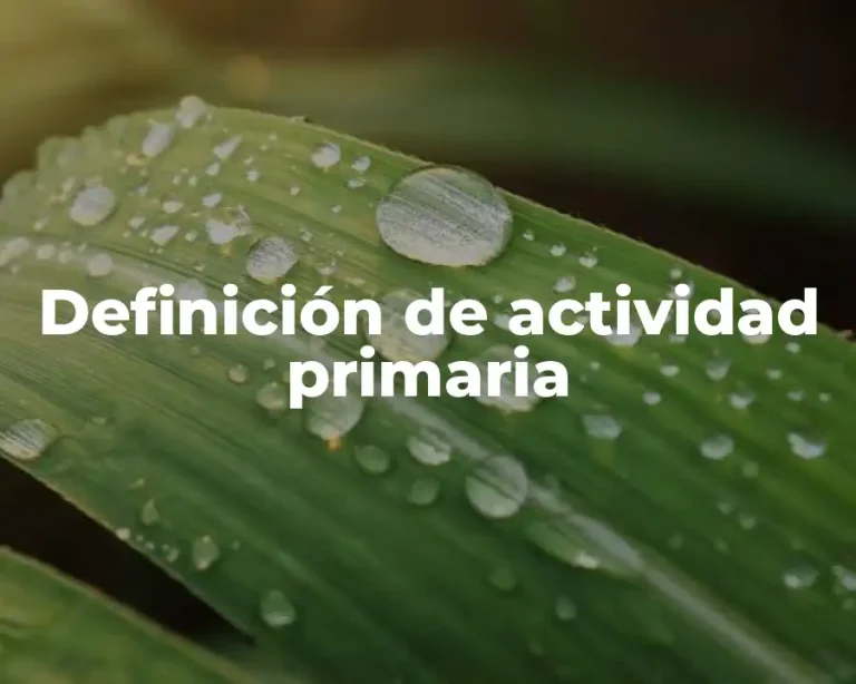Definición de actividad primaria