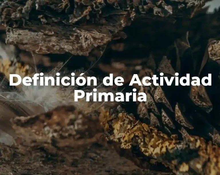 Definición de Actividad Primaria
