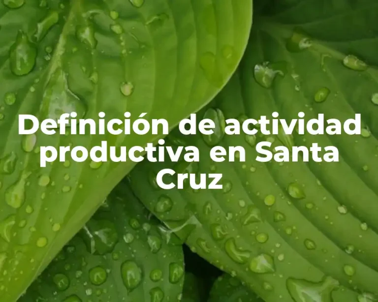 Definición de actividad productiva en Santa Cruz