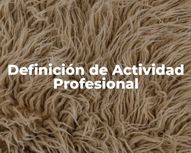Definición de Actividad Profesional