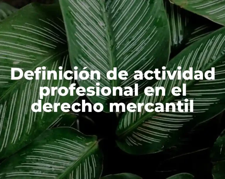 Definición de actividad profesional en el derecho mercantil