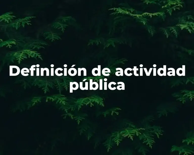 Definición de actividad pública