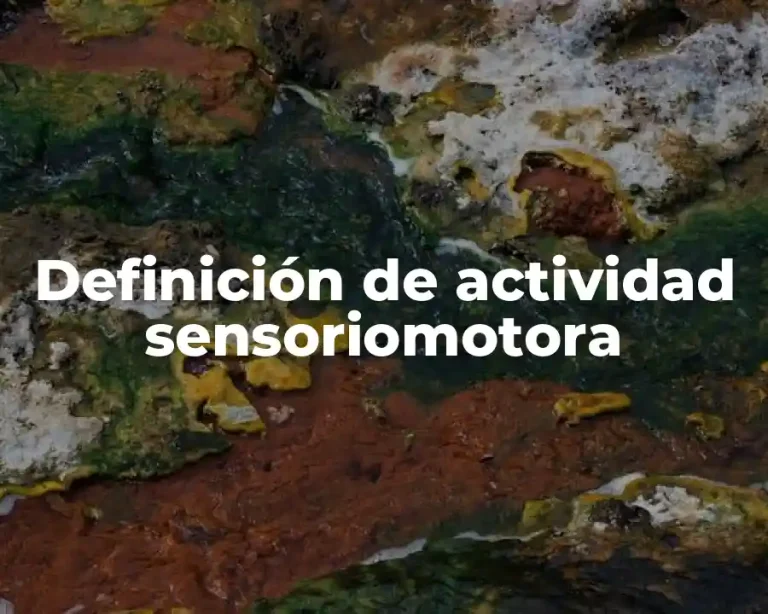 Definición de actividad sensoriomotora