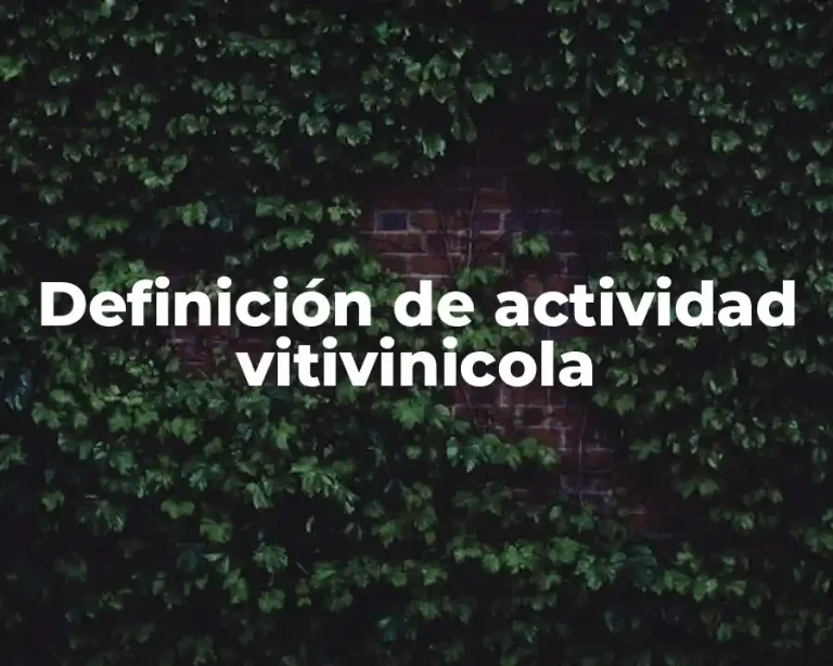 Definición de actividad vitivinicola