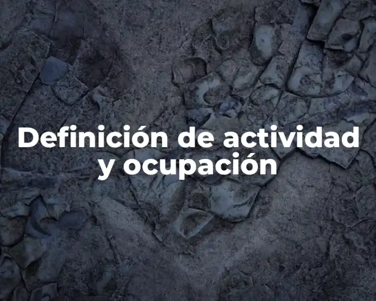 Definición de actividad y ocupación