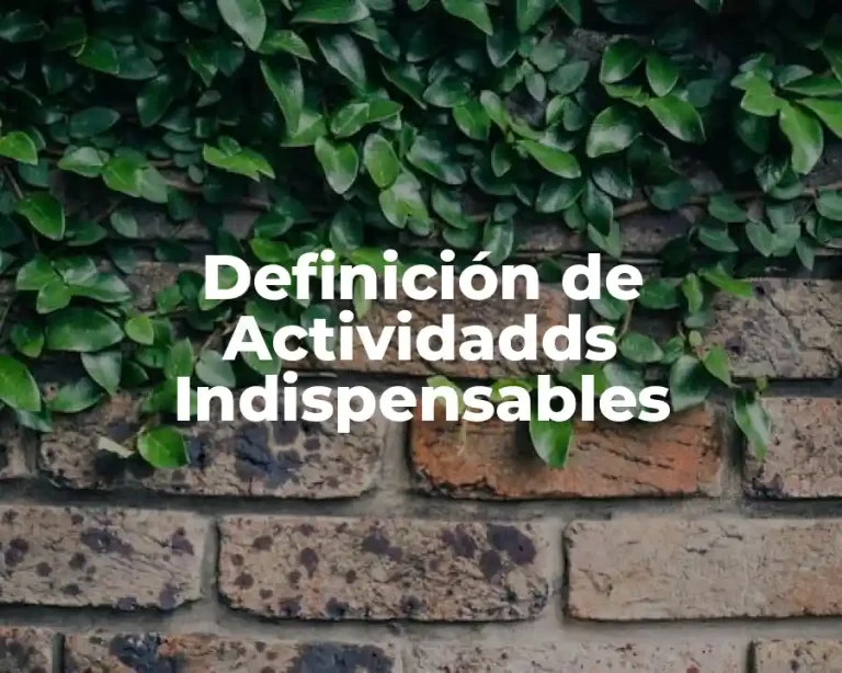 Definición de Actividadds Indispensables
