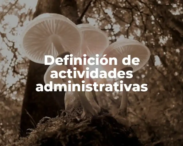 Definición de actividades administrativas