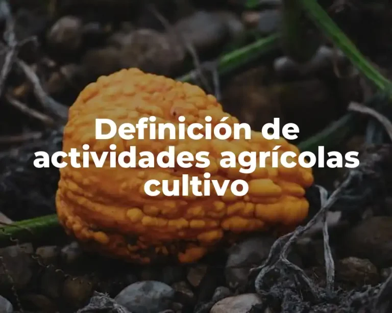 Definición de actividades agrícolas cultivo