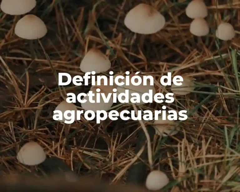 Definición de actividades agropecuarias