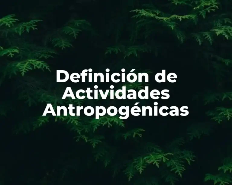 Definición de Actividades Antropogénicas