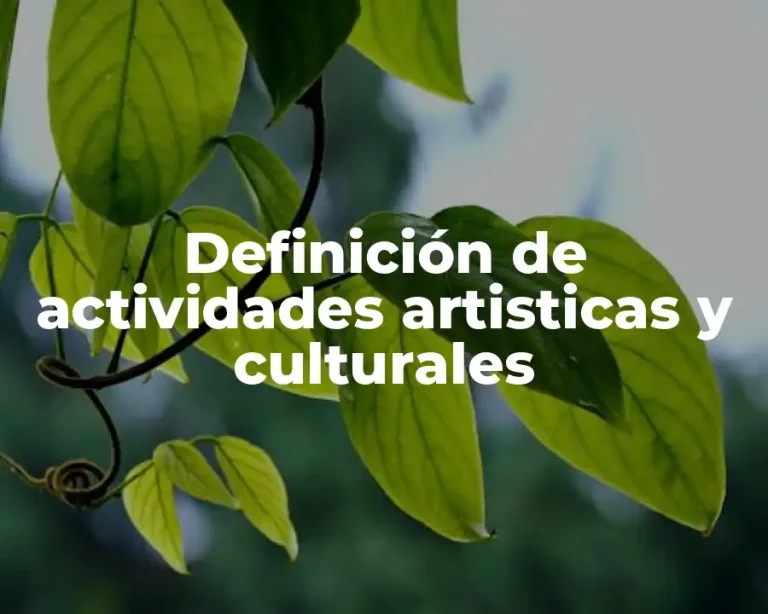 Definición de actividades artisticas y culturales