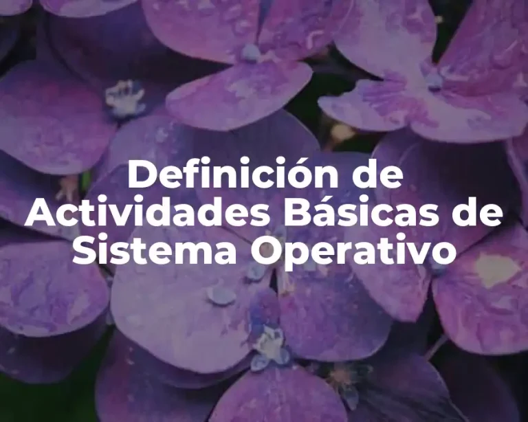 Definición de Actividades Básicas de Sistema Operativo
