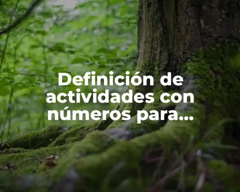 Definición de actividades con números para preescolar