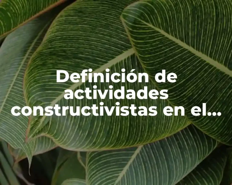 Definición de actividades constructivistas en el aula Aguirre 2005