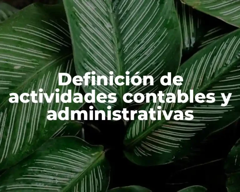 Definición de actividades contables y administrativas