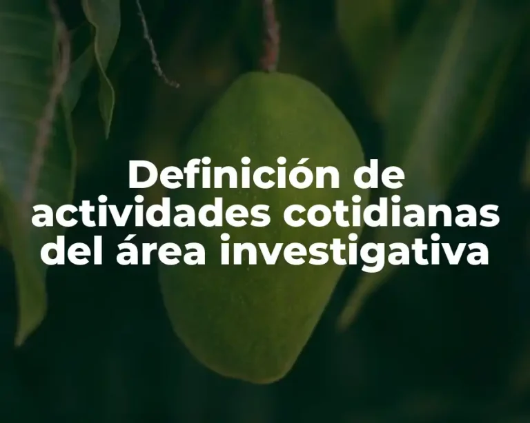 Definición de actividades cotidianas del área investigativa