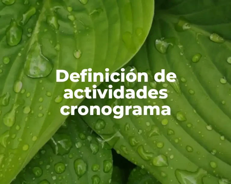 Definición de actividades cronograma