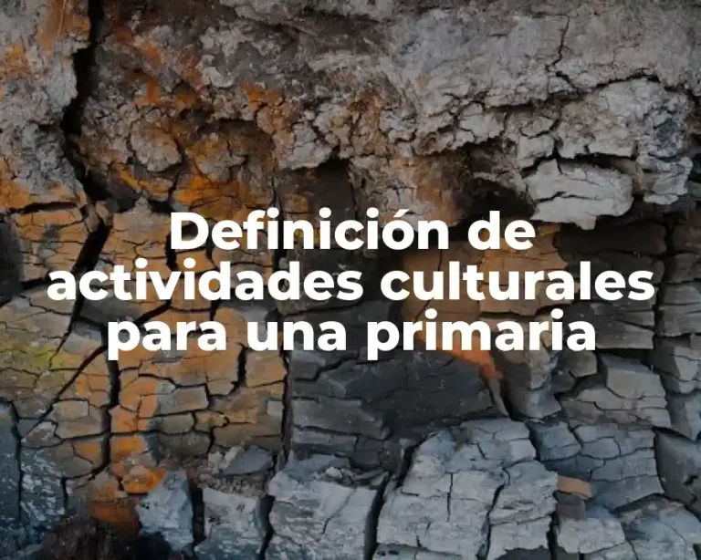 Definición de actividades culturales para una primaria