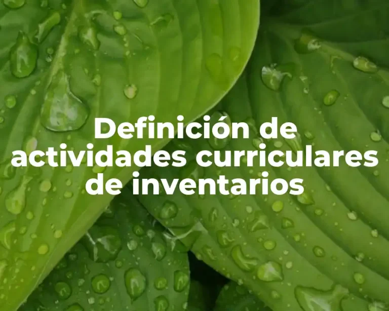 Definición de actividades curriculares de inventarios