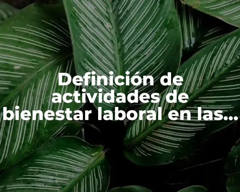 Definición de actividades de bienestar laboral en las empresas