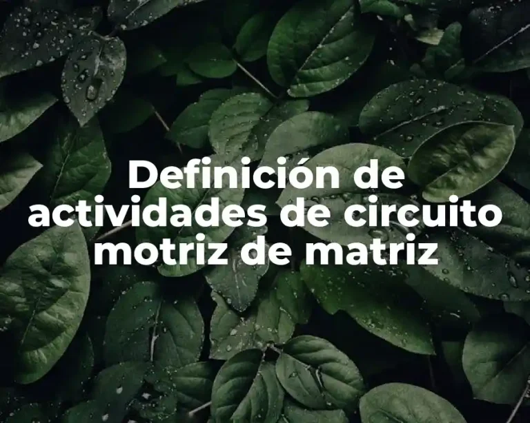 Definición de actividades de circuito motriz de matriz