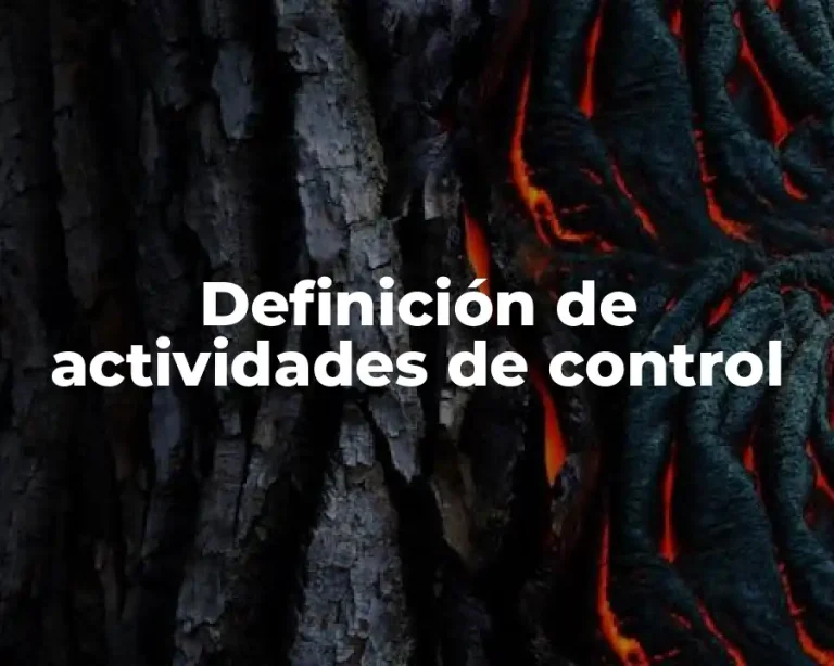 Definición de actividades de control