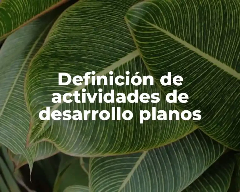 Definición de actividades de desarrollo planos