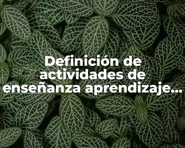 Definición de actividades de enseñanza aprendizaje ejemplos
