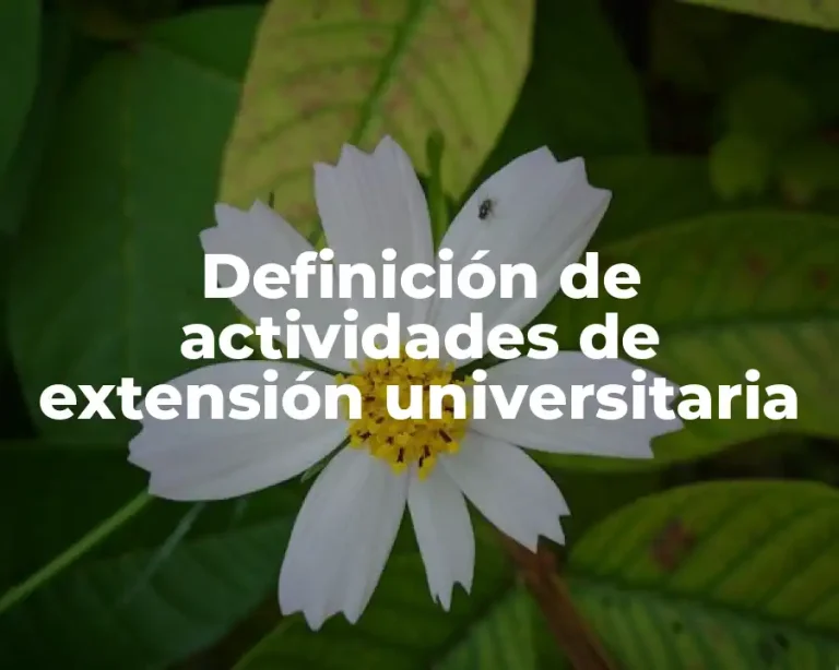 Definición de actividades de extensión universitaria