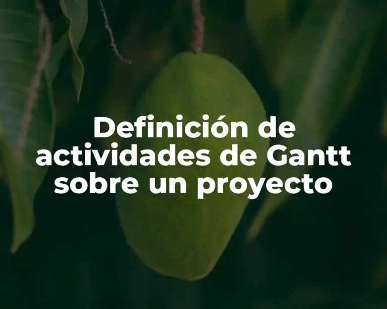 Definición de actividades de Gantt sobre un proyecto
