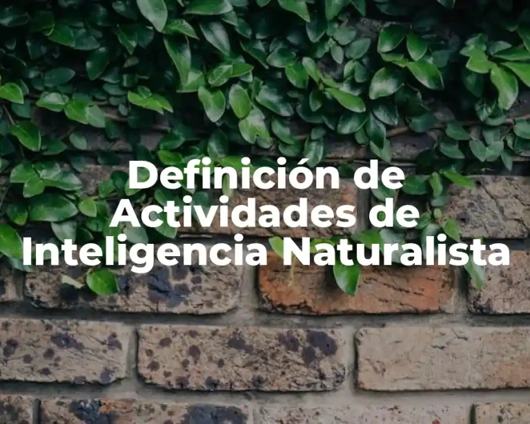 Definición de Actividades de Inteligencia Naturalista