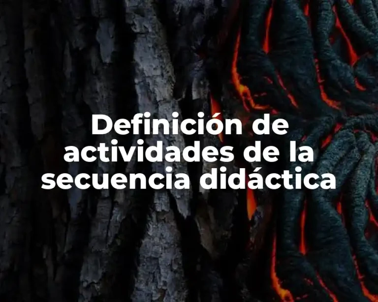 Definición de actividades de la secuencia didáctica