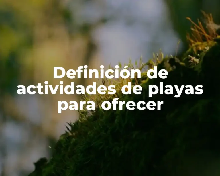Definición de actividades de playas para ofrecer