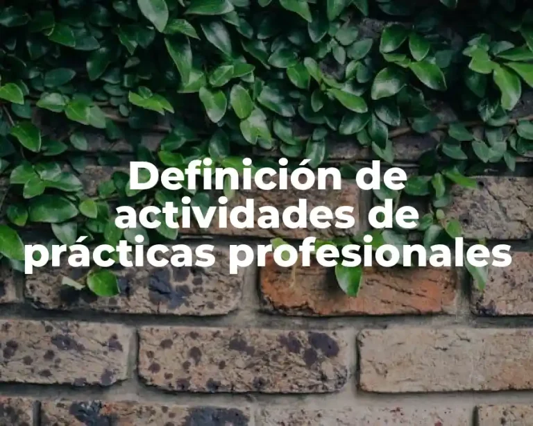 Definición de actividades de prácticas profesionales