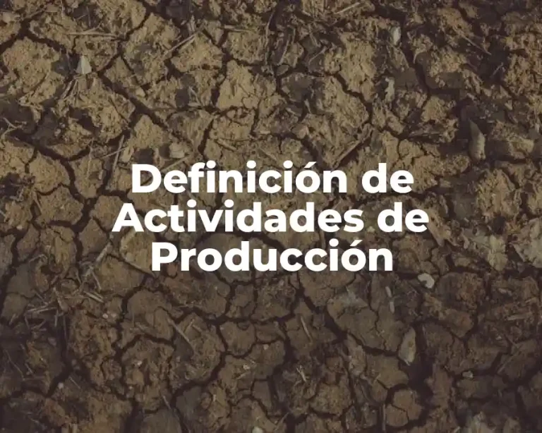 Definición de Actividades de Producción